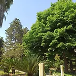 La Pineta