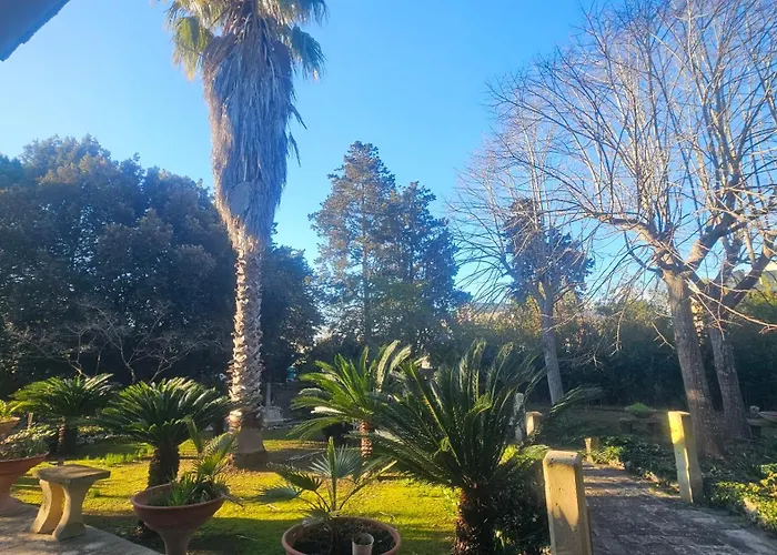 La Pineta