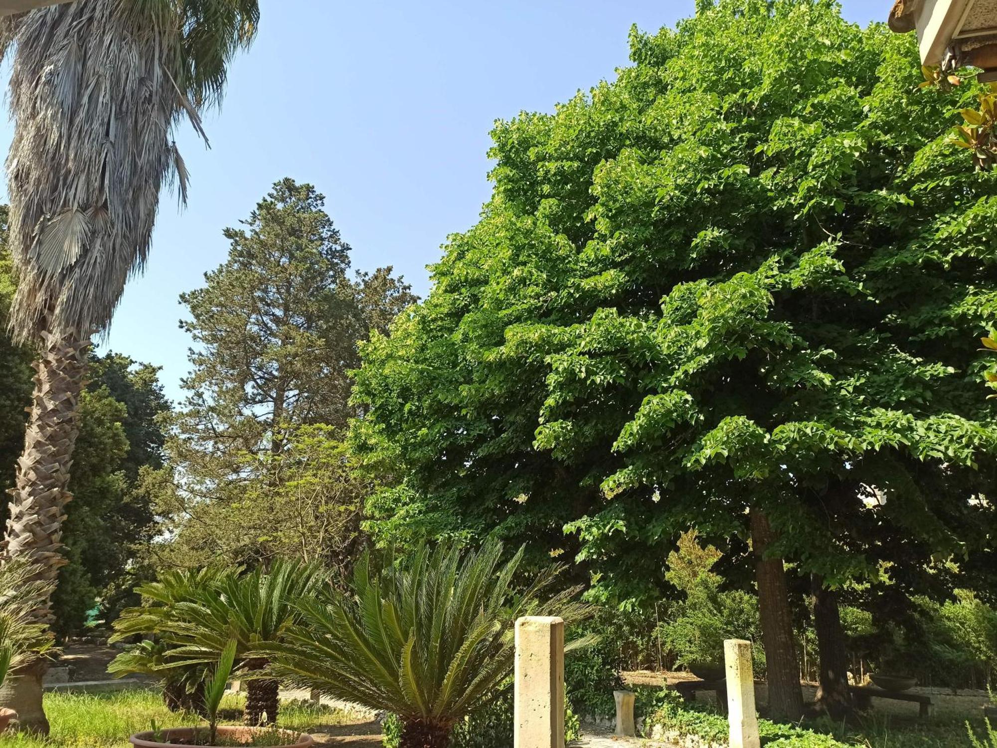 La Pineta Maison d'hôtes