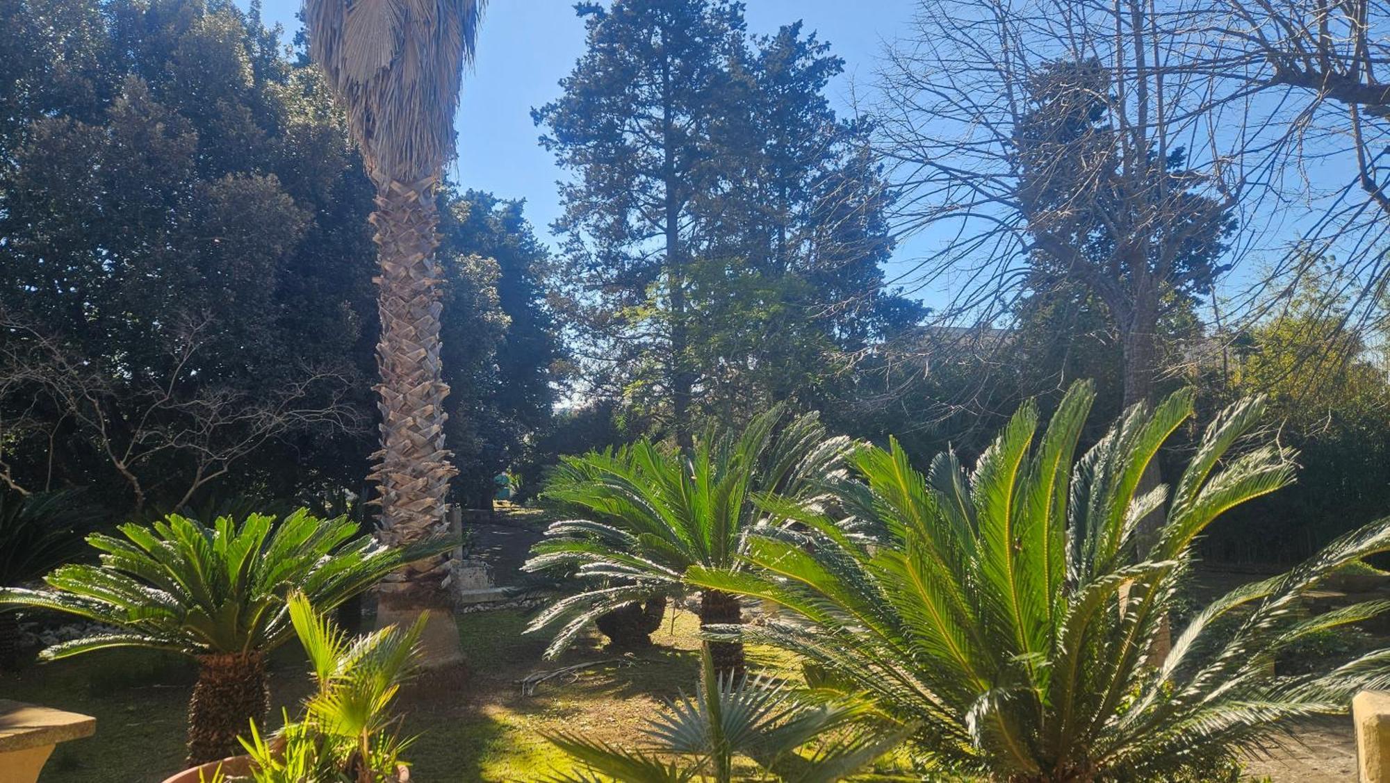 La Pineta * Lecce