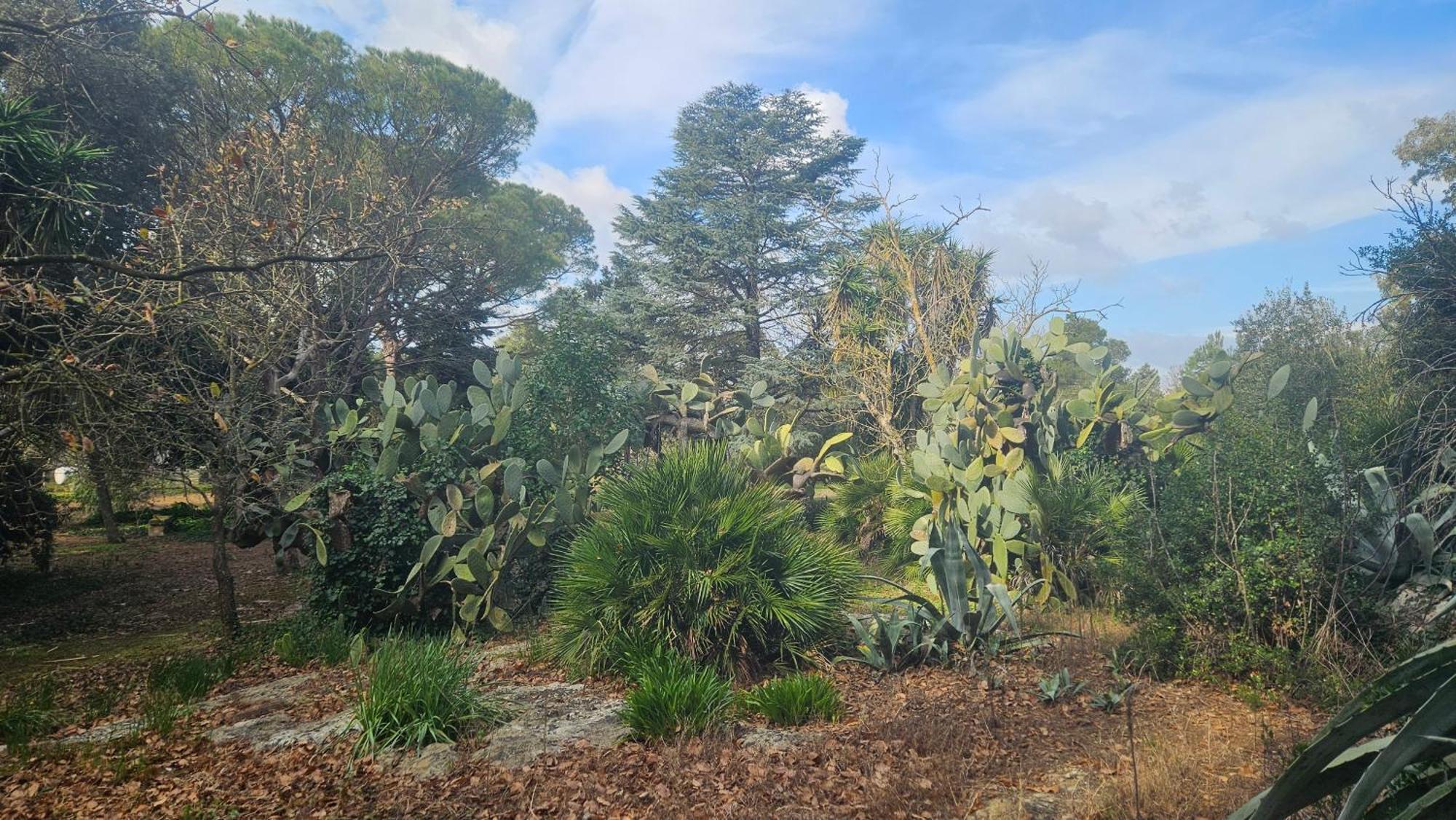 La Pineta Maison d'hôtes Lecce