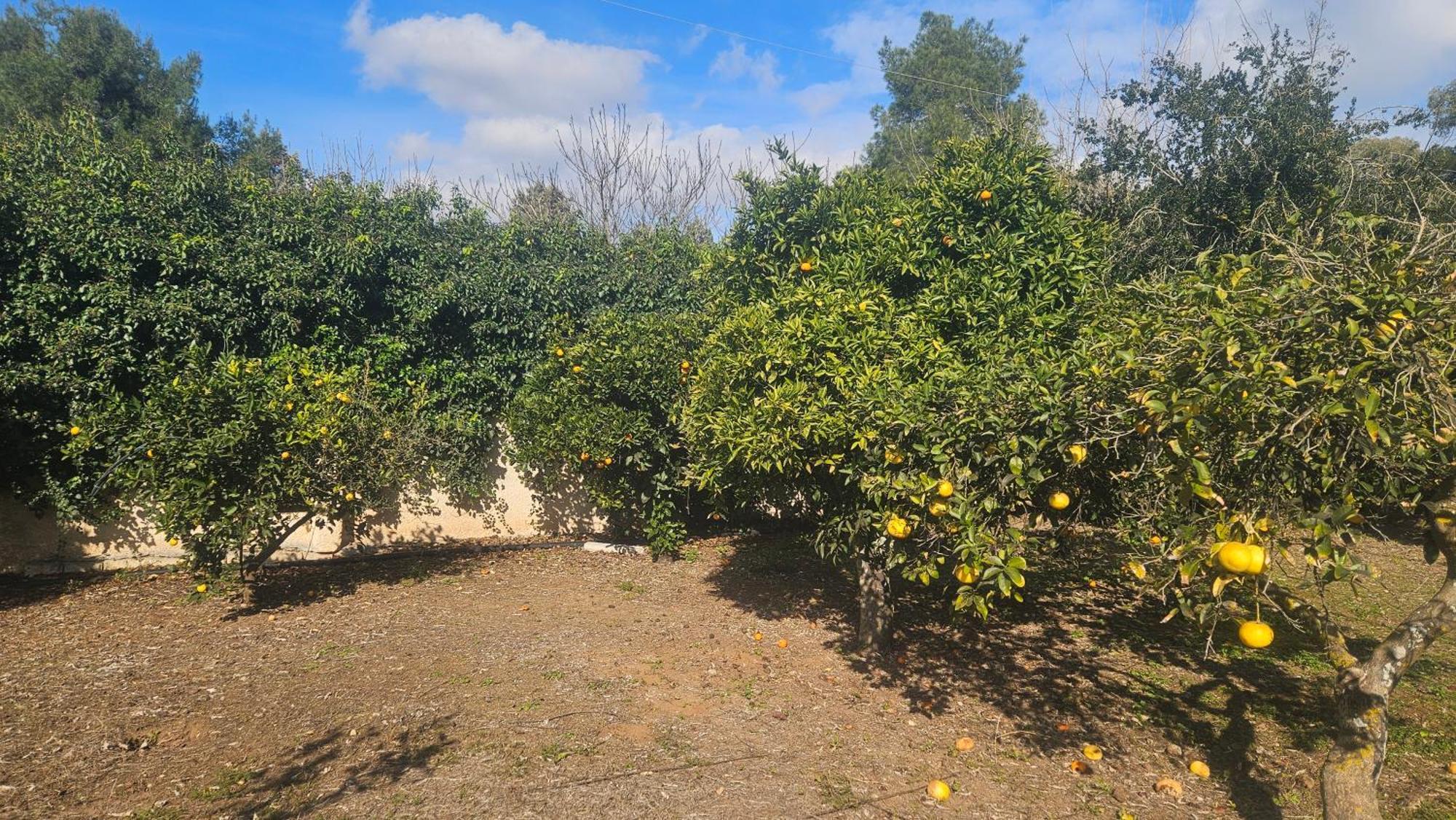 La Pineta Maison d'hôtes