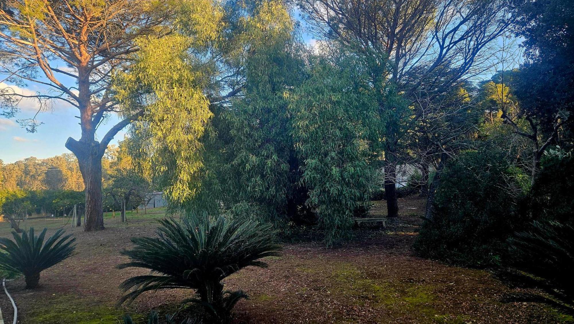 La Pineta * Lecce