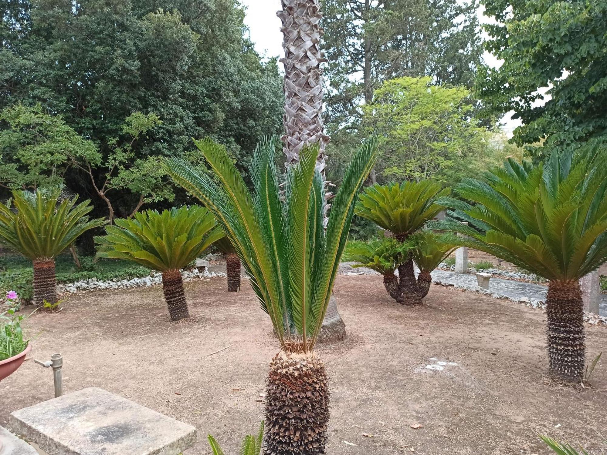 La Pineta Maison d'hôtes *