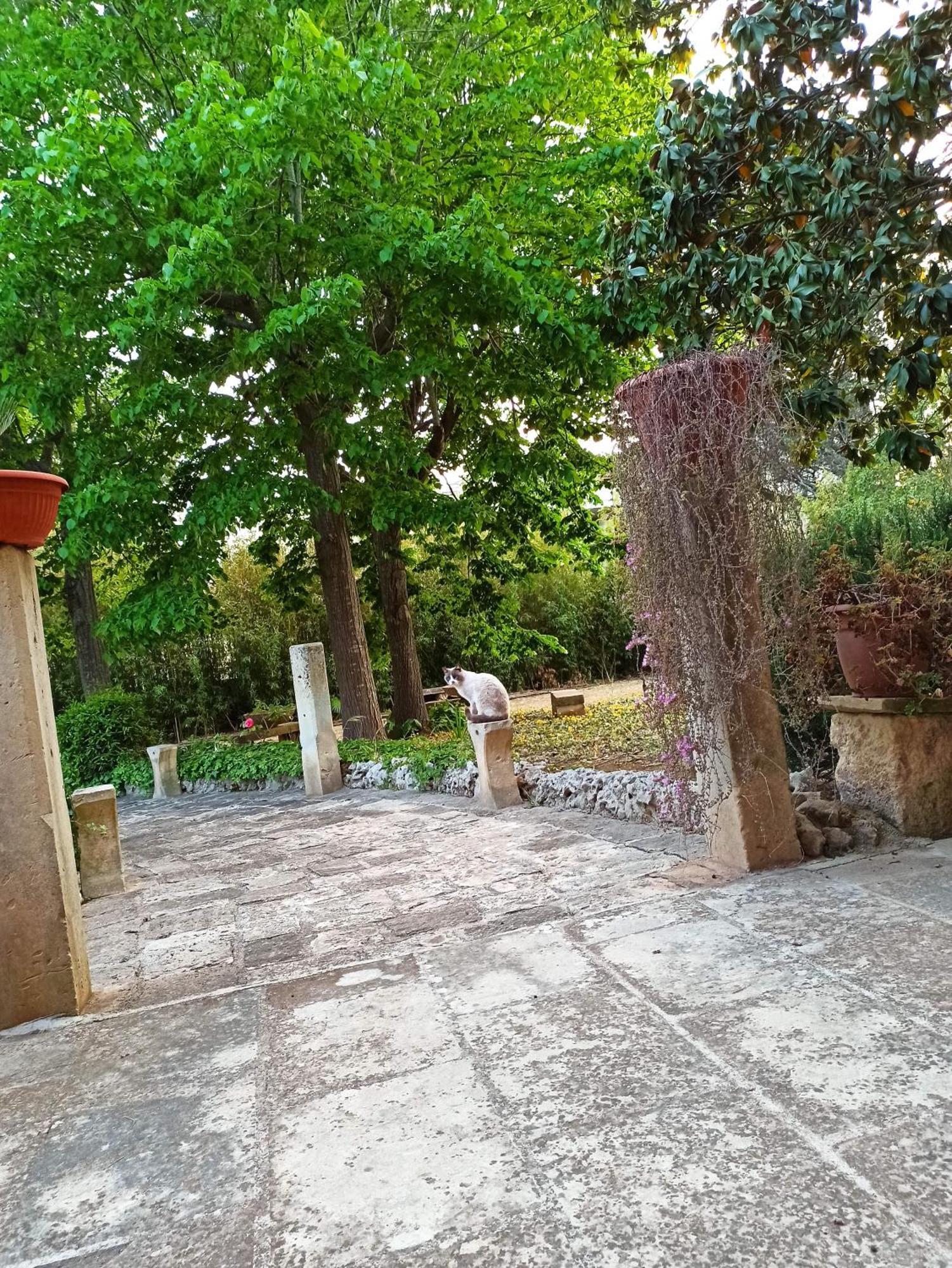 La Pineta Lecce