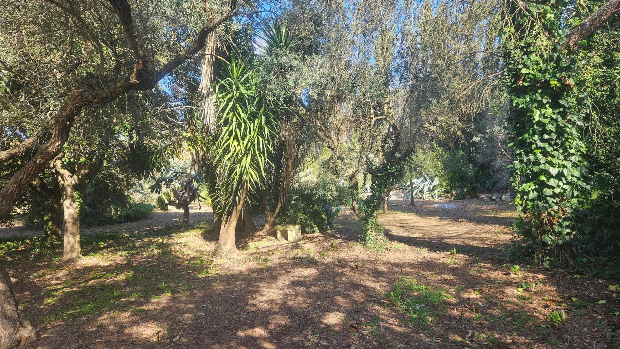 La Pineta *