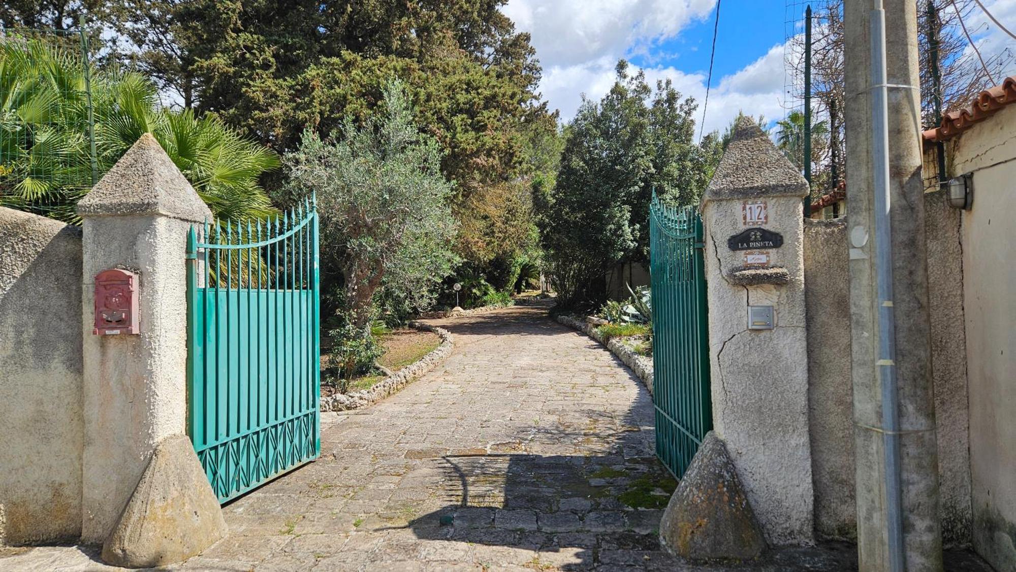 La Pineta *
