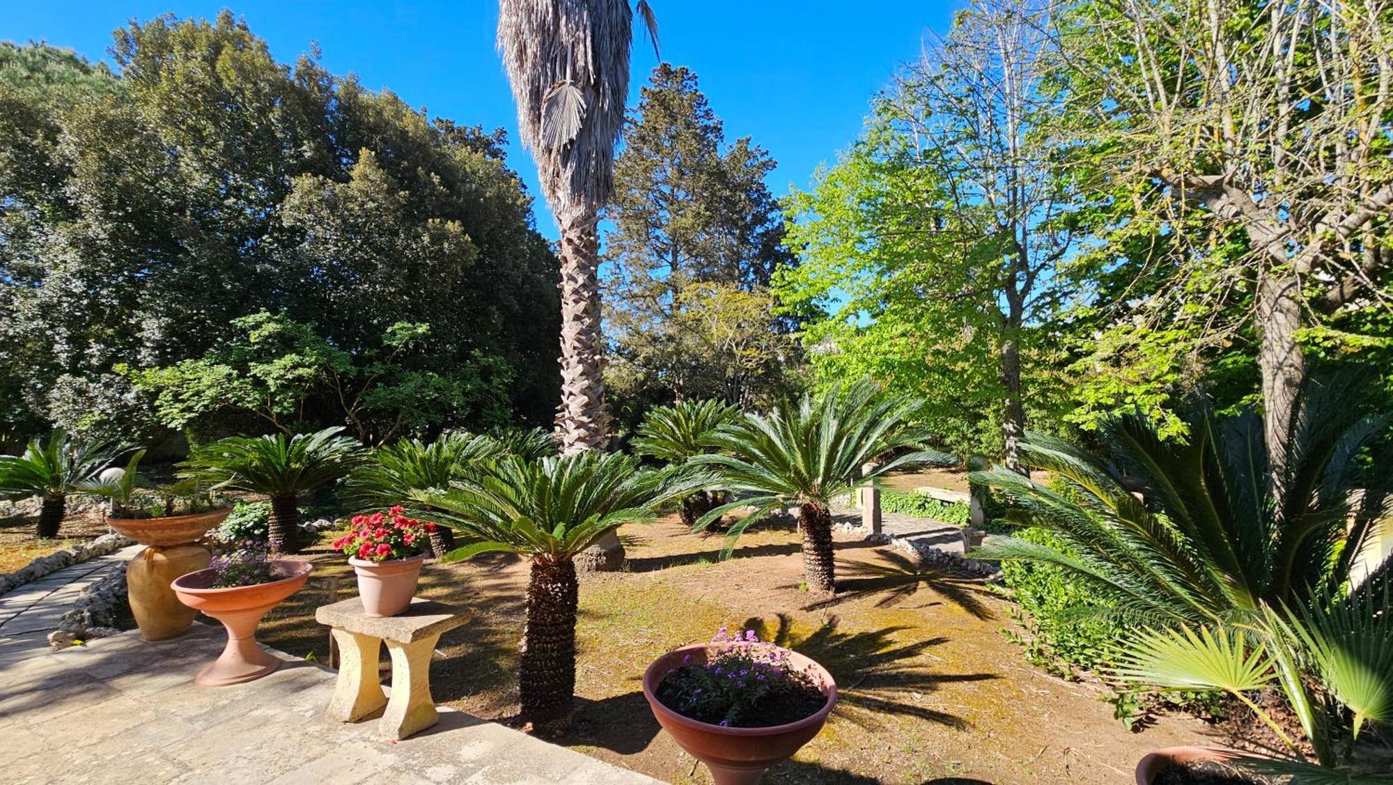 La Pineta Maison d'hôtes
